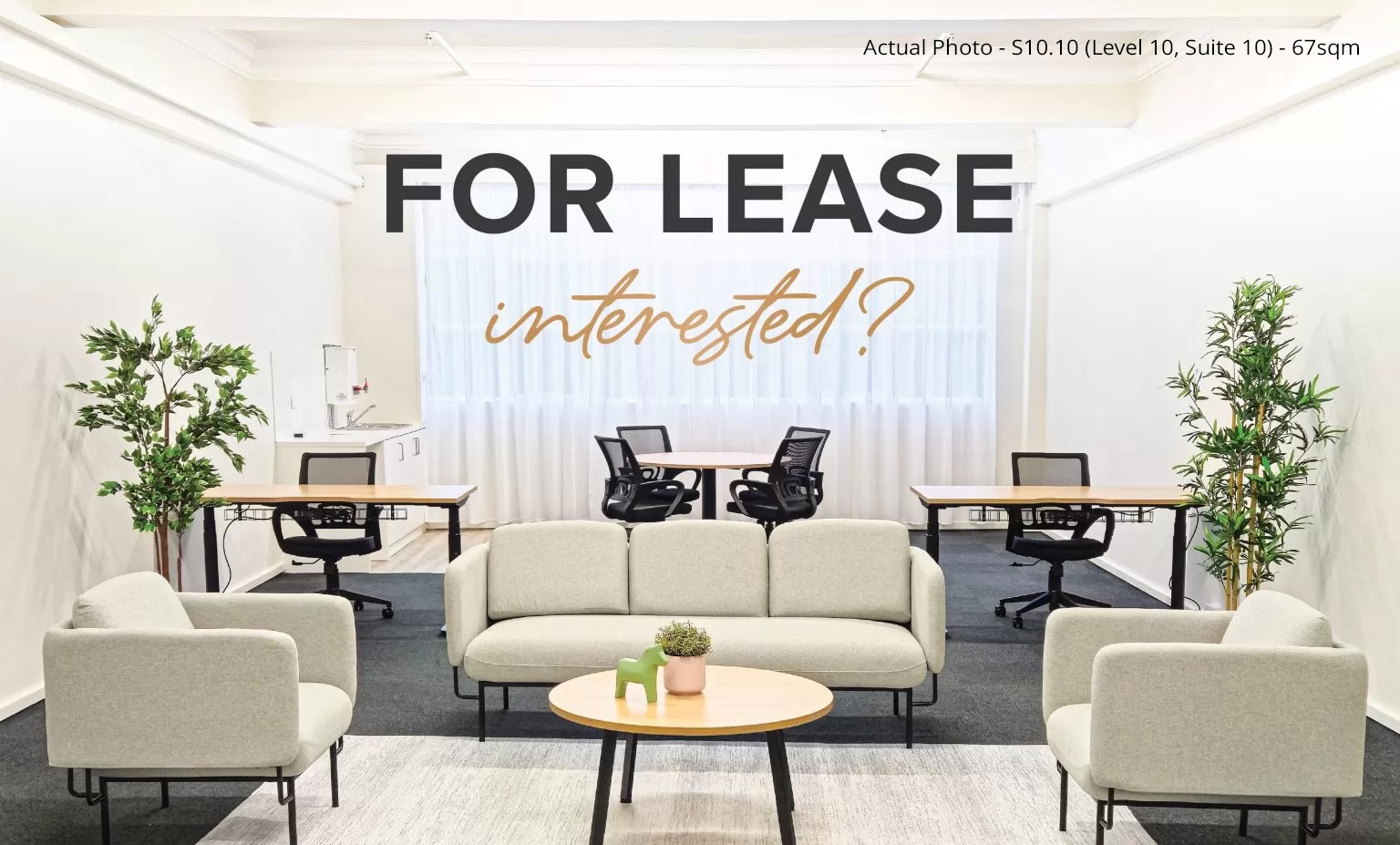 DYM002746_Display_Suite_Social__Web_Assets_2023_Blog_Header-1536x927_EDIT