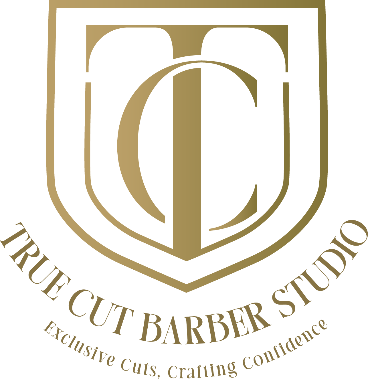 logo transparency