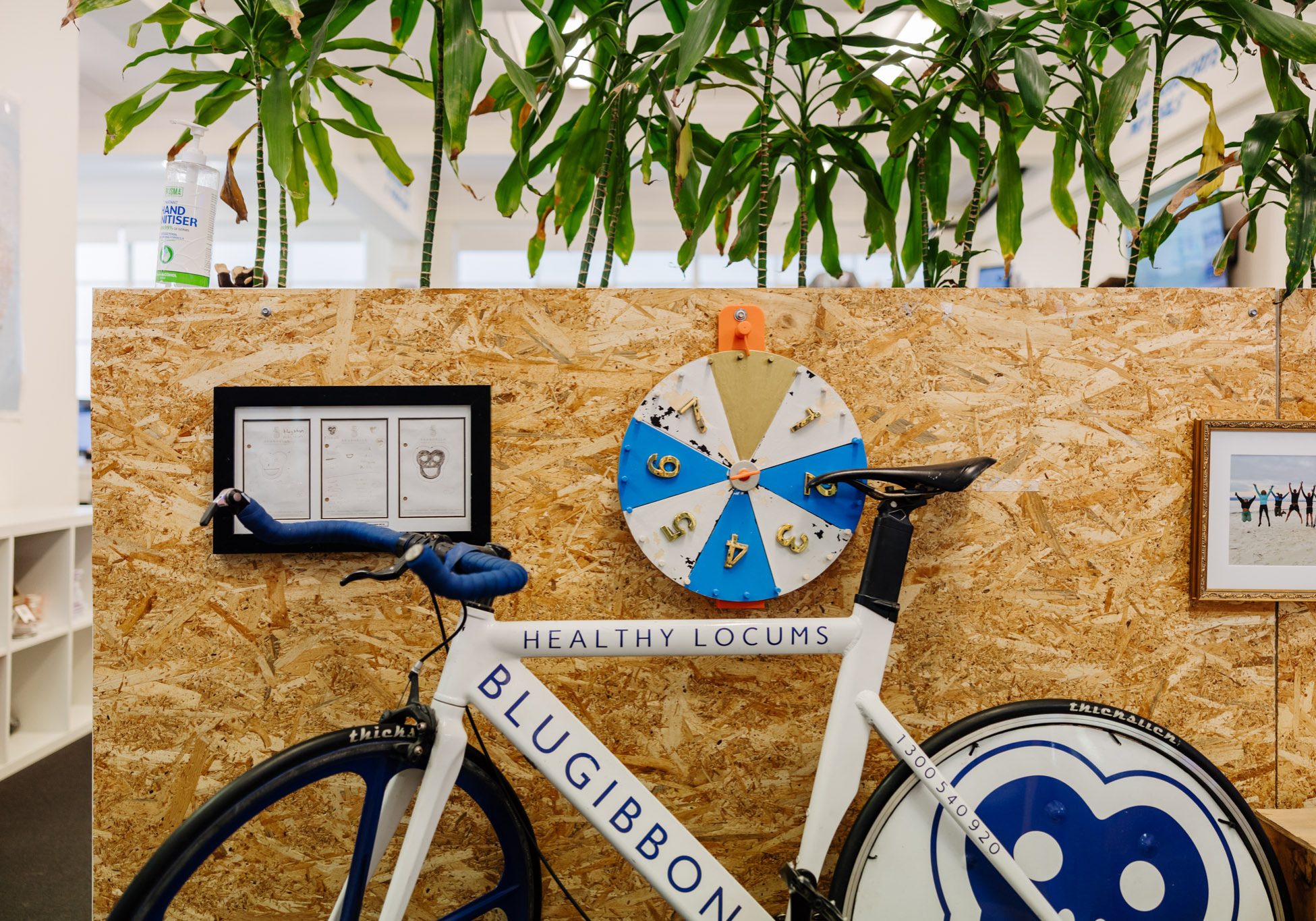 BlueGibbon-2048px-002